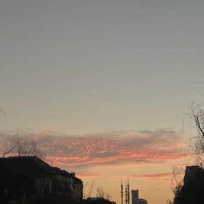 wiki777 (@wiki7773) / Twitter.